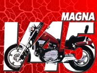 Magna V45