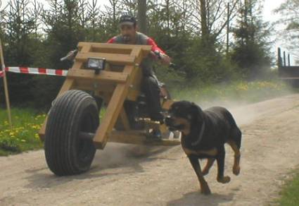 riding wooden motorcycle